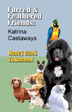 Katrina Castaways cover