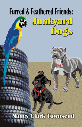 cover of Junkyard Dogs